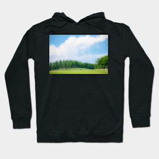 Summer Day at Shelburne Farms, Vermont Hoodie
